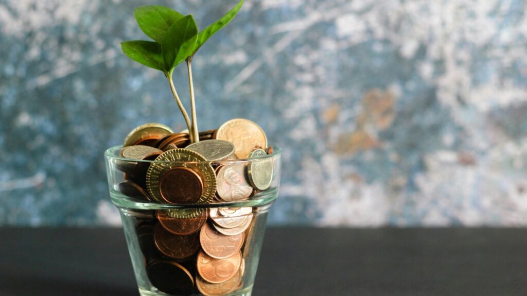 Finanzas para la vida diaria